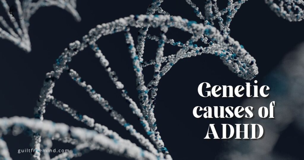 Genetic causes of ADHD