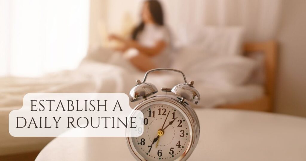 establish a daily routine