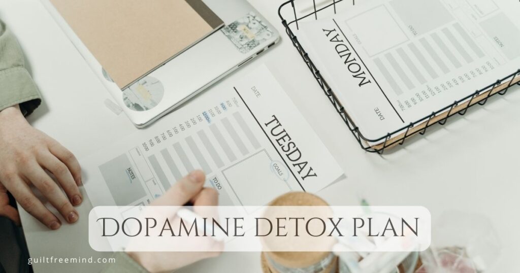 Dopamine detox plan