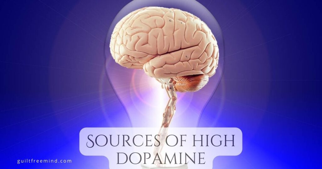 Sources of high dopamine