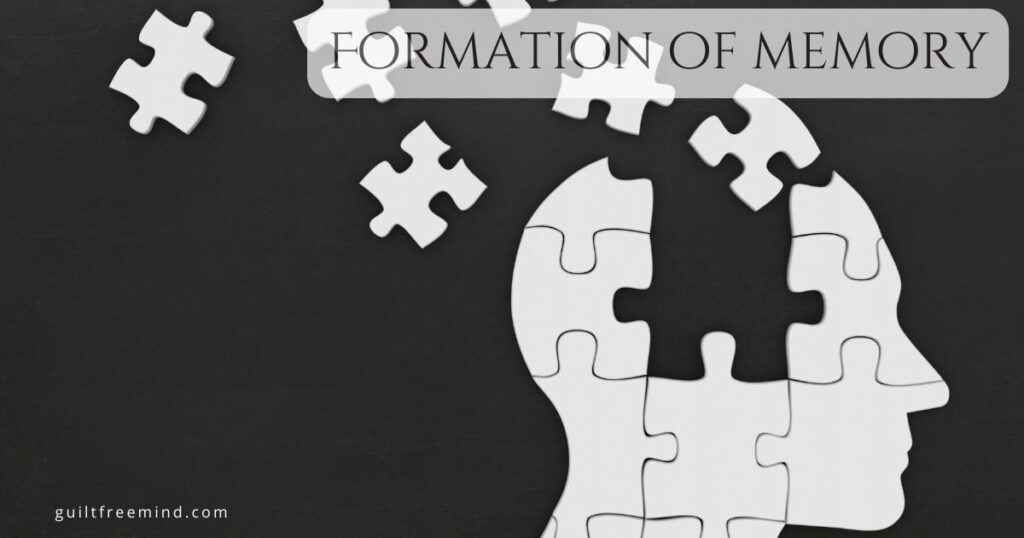 Formation of memory