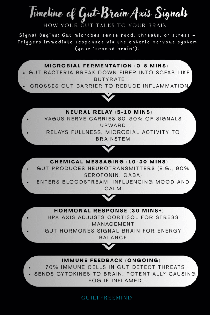Timeline of gut brain axis signals
