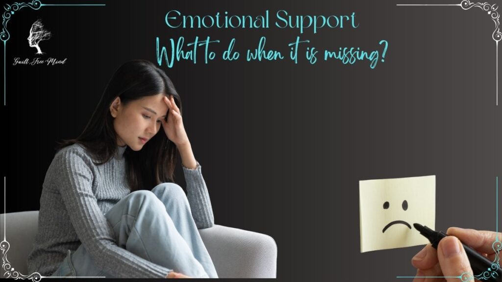 Emotional Support: When It Falls Short; How to Find Strength Within Emotional support: What to do when it is missing? featured image