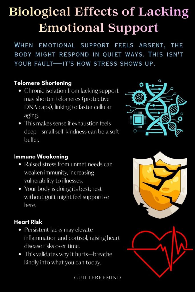 an infographic on Biological Effects of Lacking Emotional Support