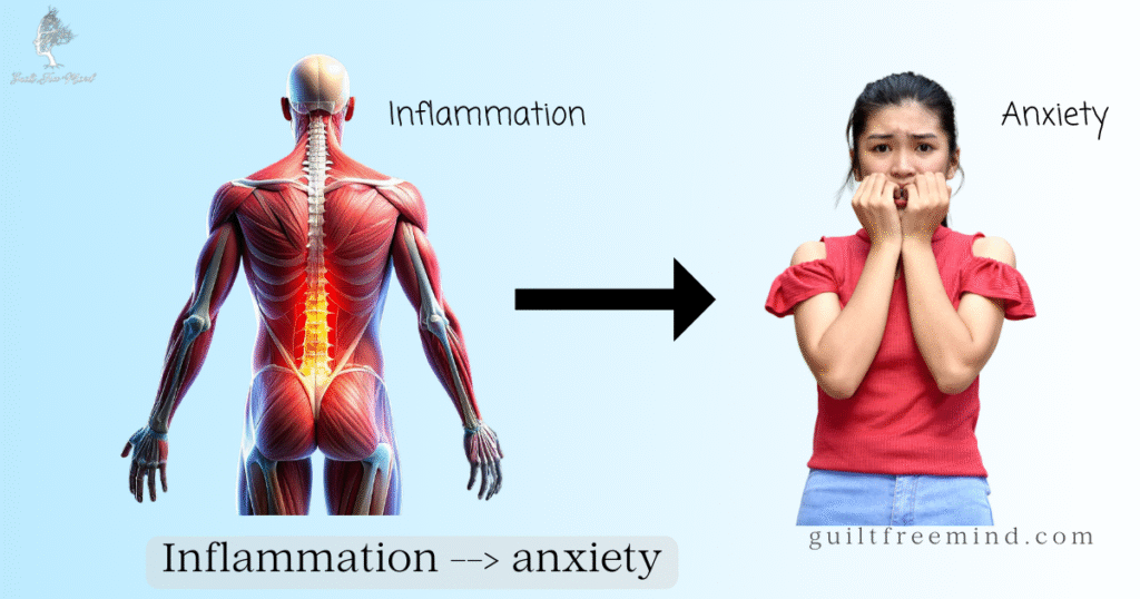 Inflammation inreases anxiety
