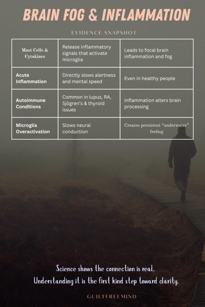 Evidence Snapshot Brain Fog & Inflammation