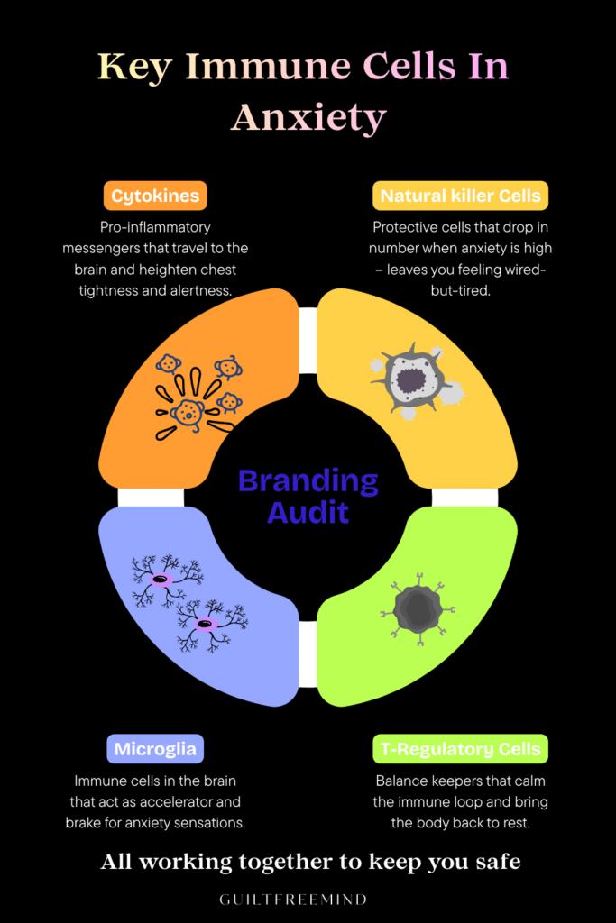 An infographic on Key Immune Cells In Anxiety